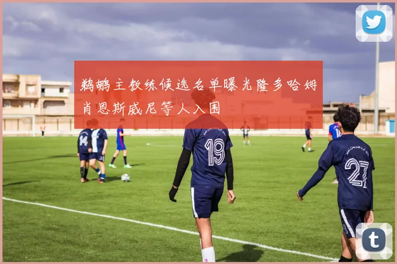 鹈鹕主教练候选名单曝光隆多哈姆肖恩斯威尼等人入围
