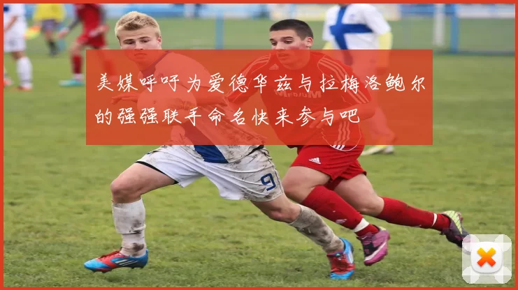 美媒呼吁为爱德华兹与拉梅洛鲍尔的强强联手命名快来参与吧
